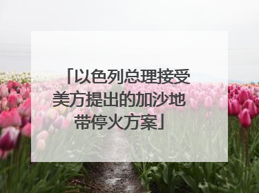 以色列总理接受美方提出的加沙地带停火方案