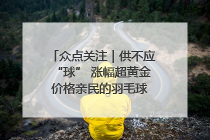 众点关注｜供不应“球” 涨幅超黄金 价格亲民的羽毛球为何身价飞涨？