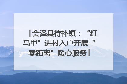 会泽县待补镇：“红马甲”进村入户开展“零距离”暖心服务