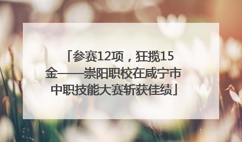 参赛12项，狂揽15金——崇阳职校在咸宁市中职技能大赛斩获佳绩