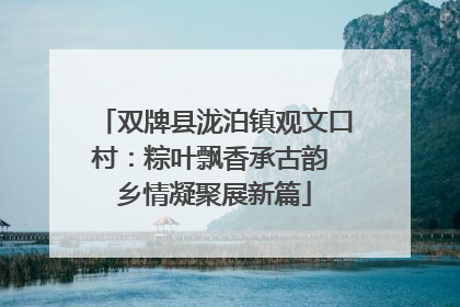 双牌县泷泊镇观文口村：粽叶飘香承古韵 乡情凝聚展新篇