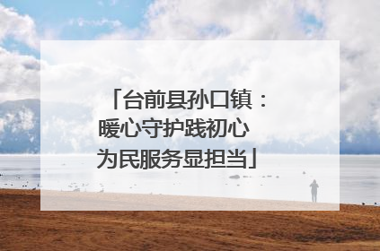 台前县孙口镇：暖心守护践初心 为民服务显担当