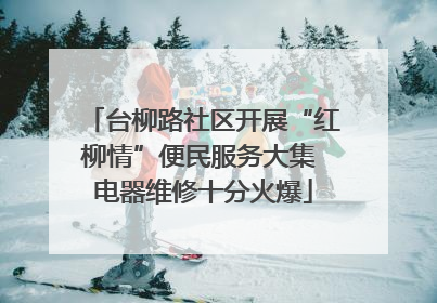 台柳路社区开展“红柳情”便民服务大集 电器维修十分火爆