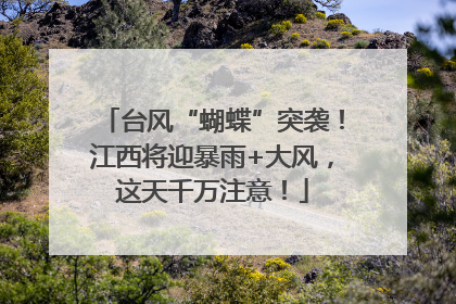 台风“蝴蝶”突袭！江西将迎暴雨+大风，这天千万注意！