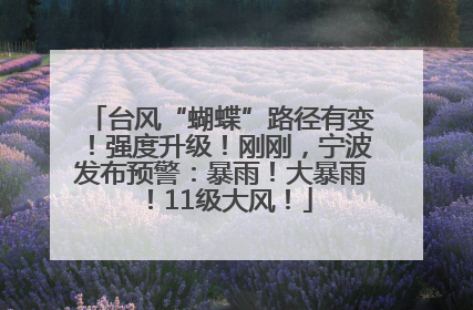 台风“蝴蝶”路径有变！强度升级！刚刚，宁波发布预警：暴雨！大暴雨！11级大风！