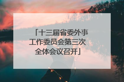 十三届省委外事工作委员会第三次全体会议召开