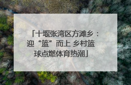 十堰张湾区方滩乡：迎“篮”而上 乡村篮球点燃体育热潮