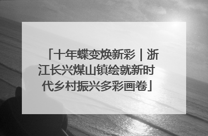 十年蝶变焕新彩｜浙江长兴煤山镇绘就新时代乡村振兴多彩画卷