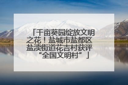千亩葵园绽放文明之花！盐城市盐都区盐渎街道花吉村获评“全国文明村”