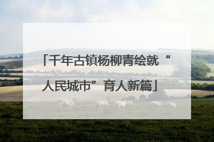 千年古镇杨柳青绘就“人民城市”育人新篇
