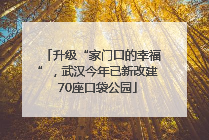 升级“家门口的幸福”，武汉今年已新改建70座口袋公园