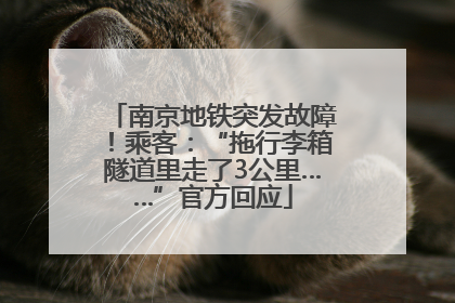 南京地铁突发故障！乘客：“拖行李箱隧道里走了3公里……”官方回应