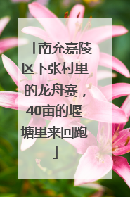 南充嘉陵区下张村里的龙舟赛，40亩的堰塘里来回跑