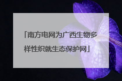 南方电网为广西生物多样性织就生态保护网