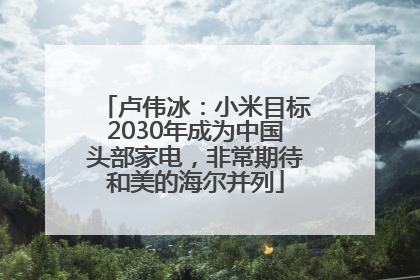 卢伟冰：小米目标2030年成为中国头部家电，非常期待和美的海尔并列