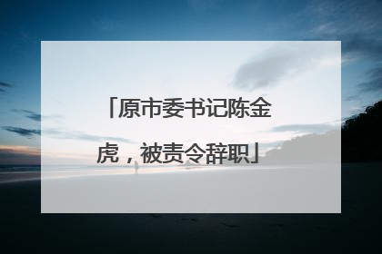 原市委书记陈金虎，被责令辞职