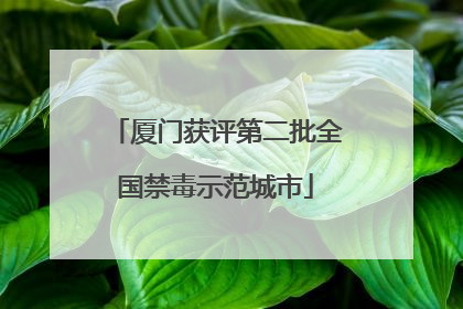 厦门获评第二批全国禁毒示范城市