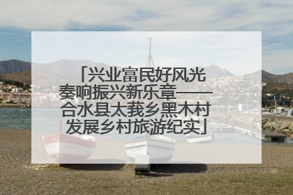 兴业富民好风光 奏响振兴新乐章——合水县太莪乡黑木村发展乡村旅游纪实