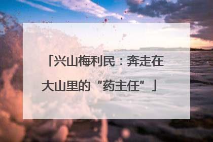 兴山梅利民：奔走在大山里的“药主任”