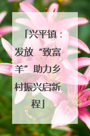 兴平镇：发放“致富羊”助力乡村振兴启新程