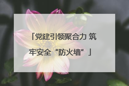 党建引领聚合力 筑牢安全“防火墙”