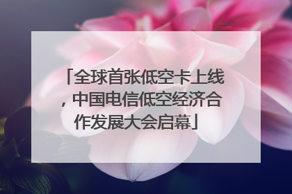全球首张低空卡上线，中国电信低空经济合作发展大会启幕
