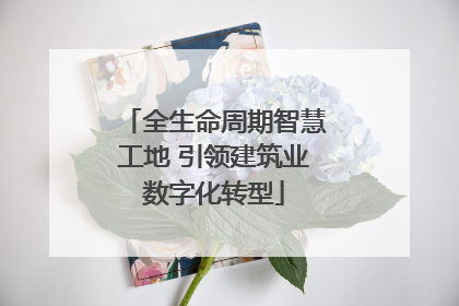 全生命周期智慧工地 引领建筑业数字化转型