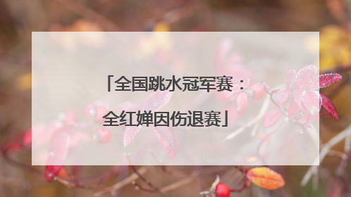 全国跳水冠军赛：全红婵因伤退赛