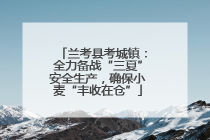 兰考县考城镇：全力备战“三夏”安全生产，确保小麦“丰收在仓”