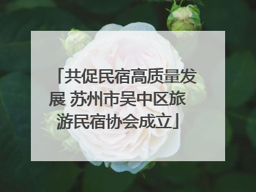 共促民宿高质量发展 苏州市吴中区旅游民宿协会成立