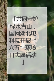 共同守护绿水青山，国网湖北电科院开展“六五”环境日志愿活动