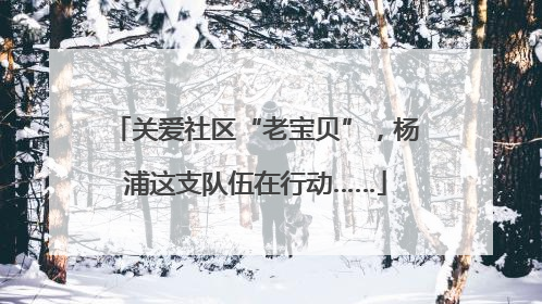 关爱社区“老宝贝”，杨浦这支队伍在行动……