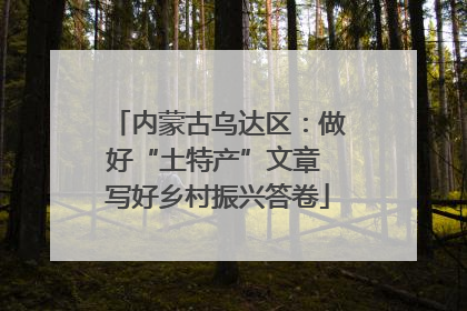 内蒙古乌达区：做好“土特产”文章 写好乡村振兴答卷