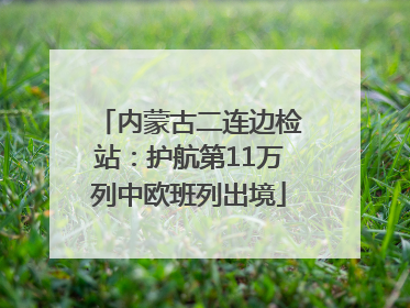 内蒙古二连边检站：护航第11万列中欧班列出境