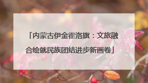内蒙古伊金霍洛旗：文旅融合绘就民族团结进步新画卷
