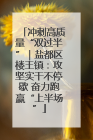 冲刺高质量“双过半”｜盐都区楼王镇：攻坚实干不停歇 奋力跑赢“上半场”