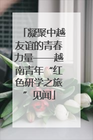 凝聚中越友谊的青春力量——越南青年“红色研学之旅”见闻