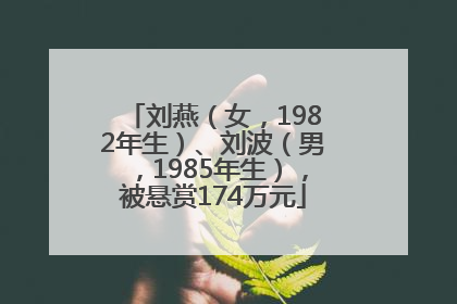 刘燕（女，1982年生）、刘波（男，1985年生），被悬赏174万元