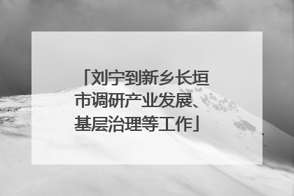 刘宁到新乡长垣市调研产业发展、基层治理等工作
