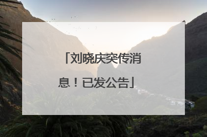 刘晓庆突传消息！已发公告