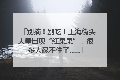 别摘！别吃！上海街头大量出现“红果果”，很多人忍不住了……