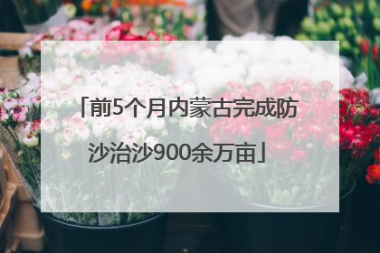前5个月内蒙古完成防沙治沙900余万亩