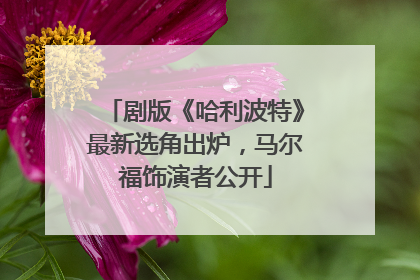 剧版《哈利波特》最新选角出炉，马尔福饰演者公开