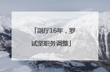 副厅16年，罗试坚职务调整