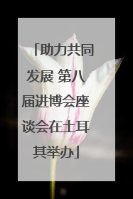 助力共同发展 第八届进博会座谈会在土耳其举办