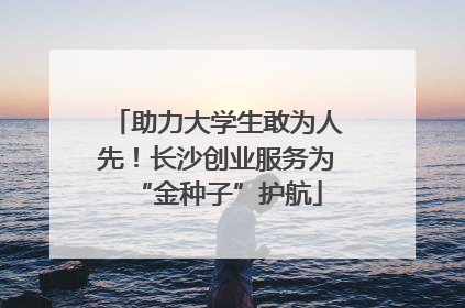 助力大学生敢为人先！长沙创业服务为“金种子”护航