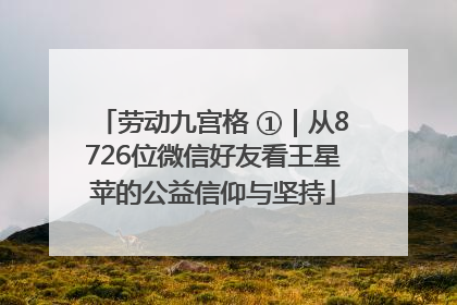劳动九宫格 ①｜从8726位微信好友看王星苹的公益信仰与坚持