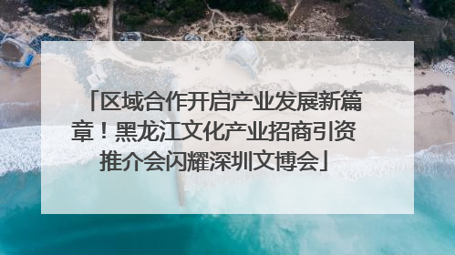 区域合作开启产业发展新篇章！黑龙江文化产业招商引资推介会闪耀深圳文博会