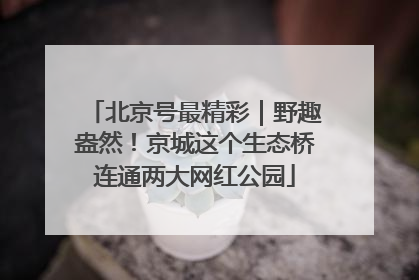 北京号最精彩｜野趣盎然！京城这个生态桥连通两大网红公园
