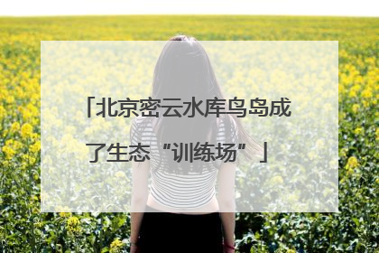 北京密云水库鸟岛成了生态“训练场”